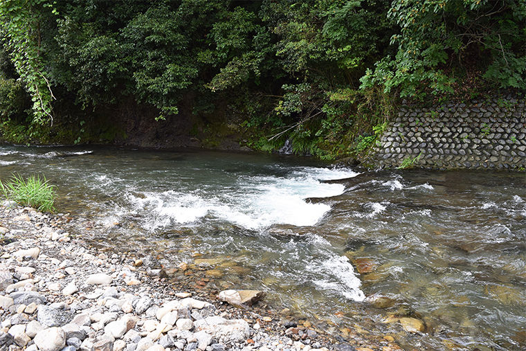 勢いよく流れる川